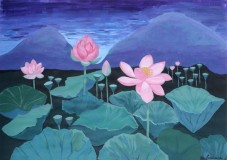 water-lilies-in-northern-italy-72