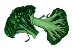 Broccoli-72