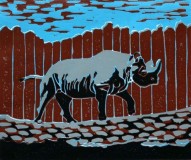 mar11-Rhinoceros-blue-72