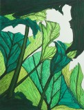 leaves-72