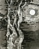 tree-in-moonlight-72