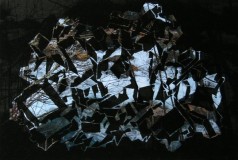Fragment-branches-72