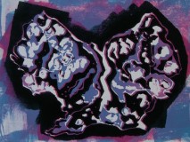 Strange-Butterfly-72