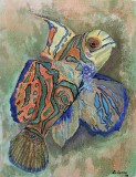Tropical-fish-72