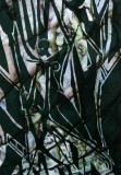 Wood-Nymph-bluish-green-72