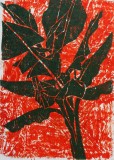 banana-leaves-72