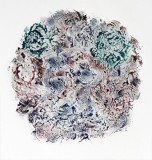 lichen-1-72