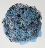 lichen-2-72