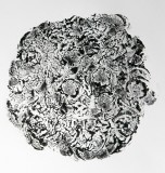 lichen-3-72