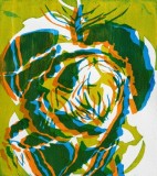 The-humble-but-beautiful-cabbage-2-72