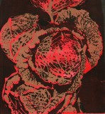 The-humble-but-beautiful-cabbage-4-72
