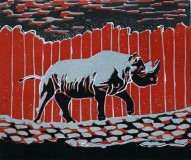 mar11-Rhinoceros-red-72