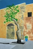 The-Old-Tree-Malta-72